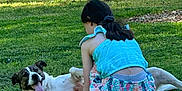 Lindsay joined the competition — help win amazing prizes! child, dog, grass, outdoor, fence, greenery, playful, summer, pet, happy, animal, girl, back_view, casual_clothing, nature, sunlight, tongue_out, resting, fun, friendship