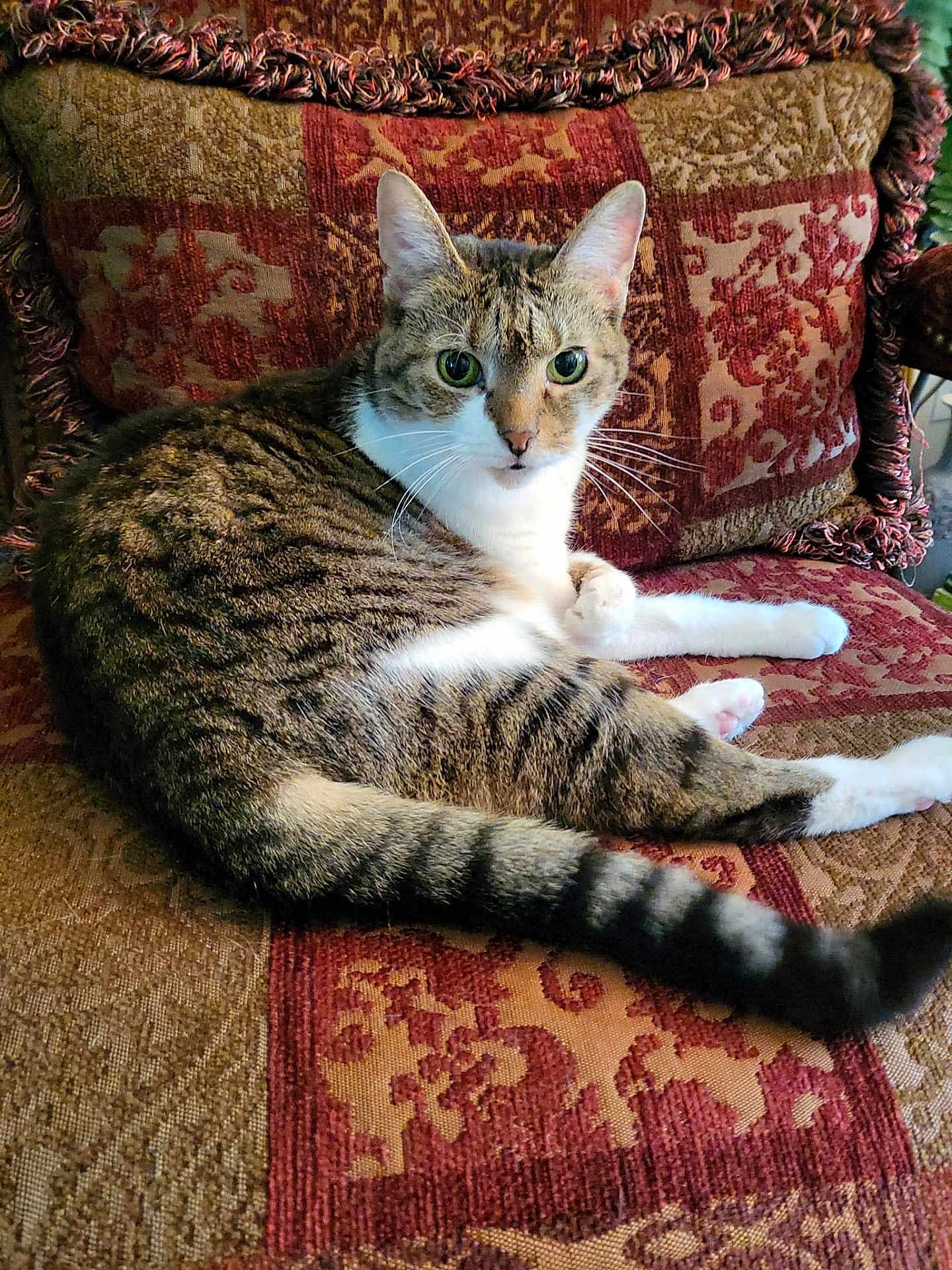 Copper