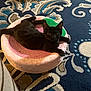 black_cat, cat, pet, animal, indoor, carpet, plush_bed, furniture, blue_carpet, patterned_carpet, curious, relaxed, resting, cozy, home, cute, feline, round_bed, pink_bed, close_up