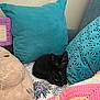 kitten, black_cat, pillow, blanket, couch, indoor, cozy, fur, pet, resting, small_animal, home, textile, pattern, soft, animal, cute, relaxing, sleepy, domestic