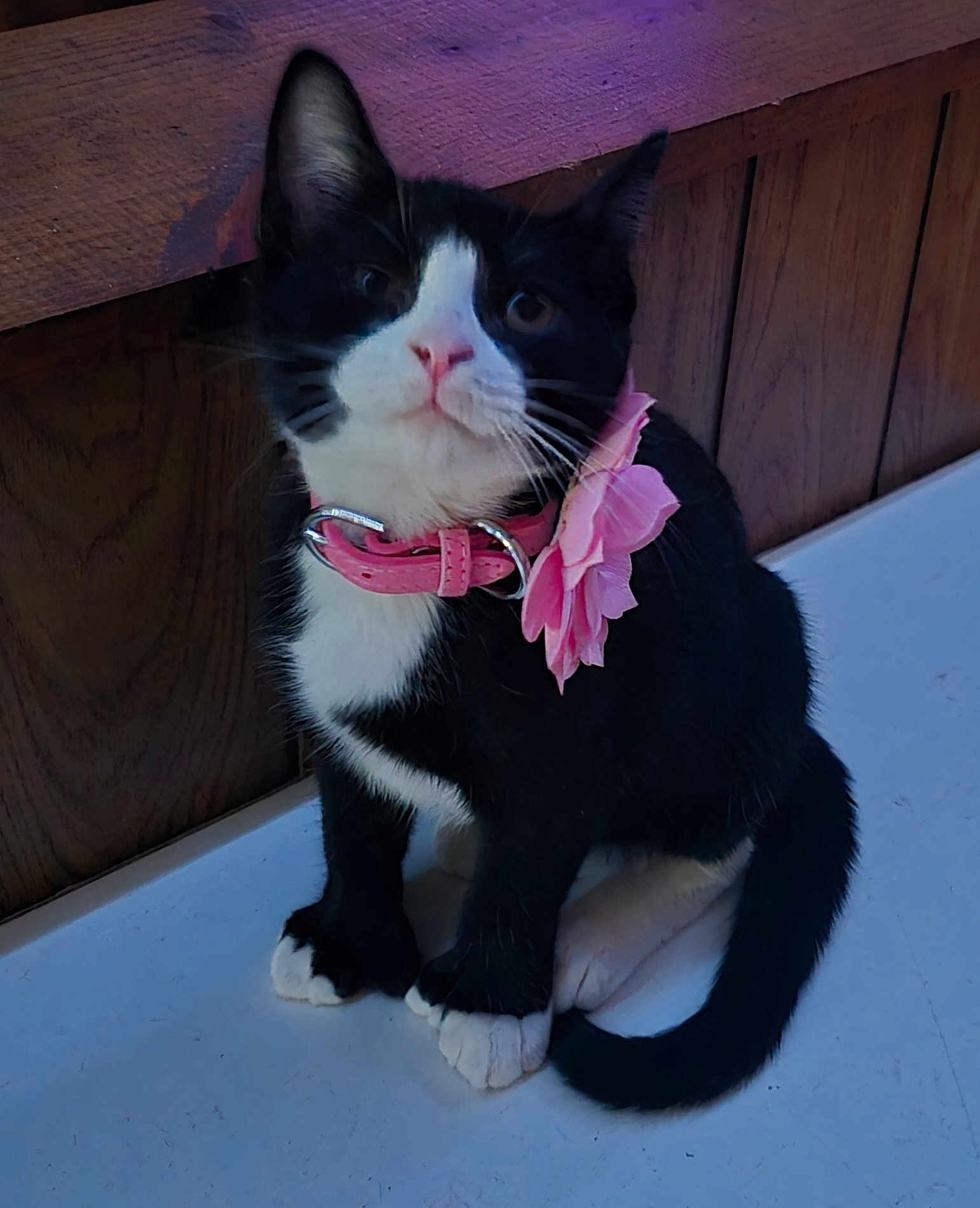 Princess