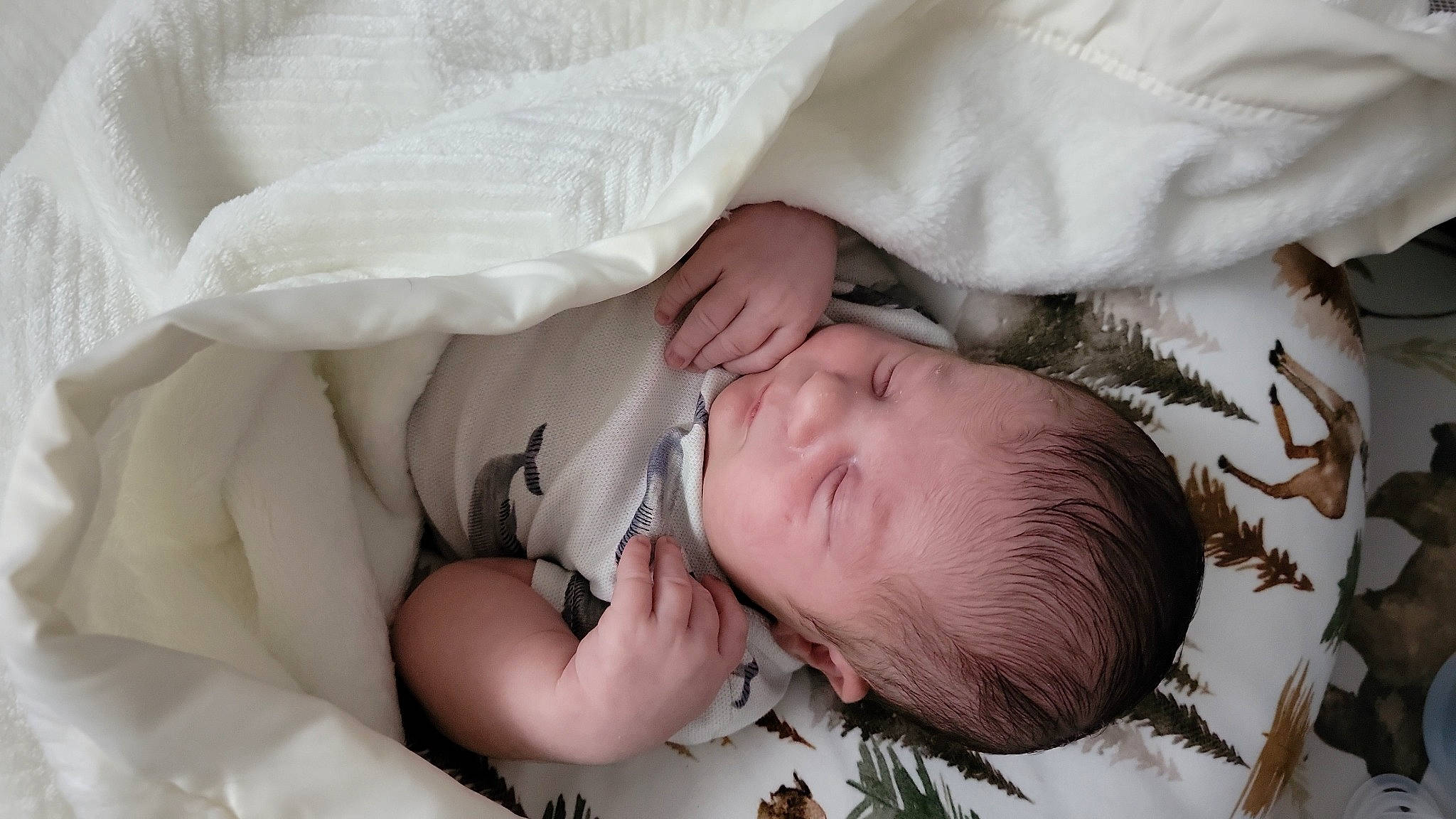 Maddox is registered to the contest to win money with this photo: baby, bedtime, cheek, child, comfort, eye, eyelash, fur, grass, happy, head, human_body, linens, nap, person, plant, skin, toddler, tree, white