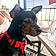 Loky