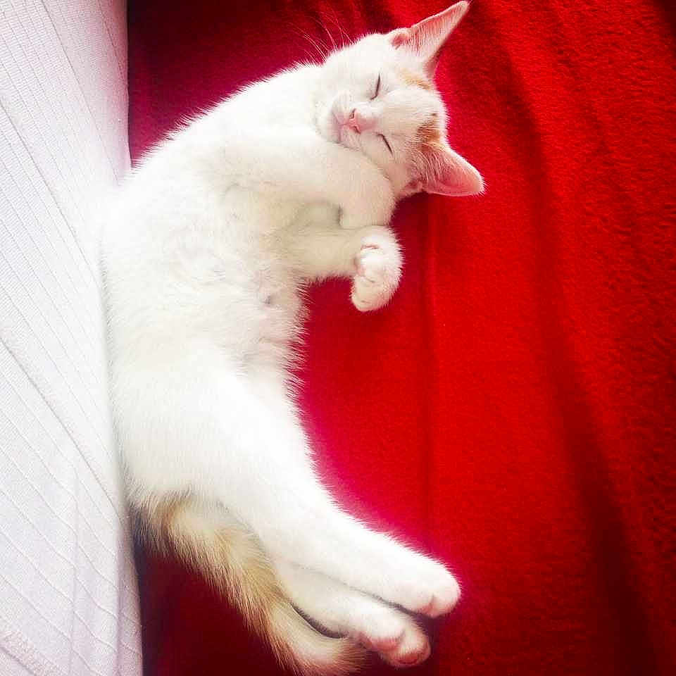 Billy