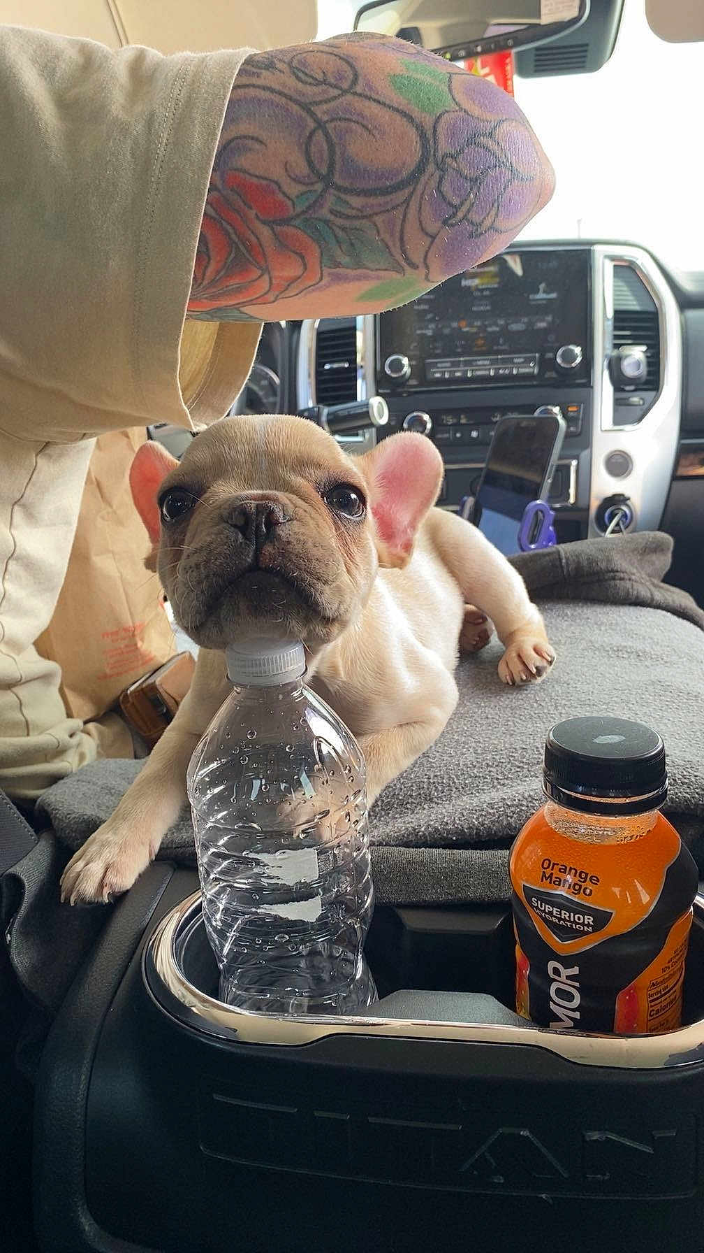 Milo
