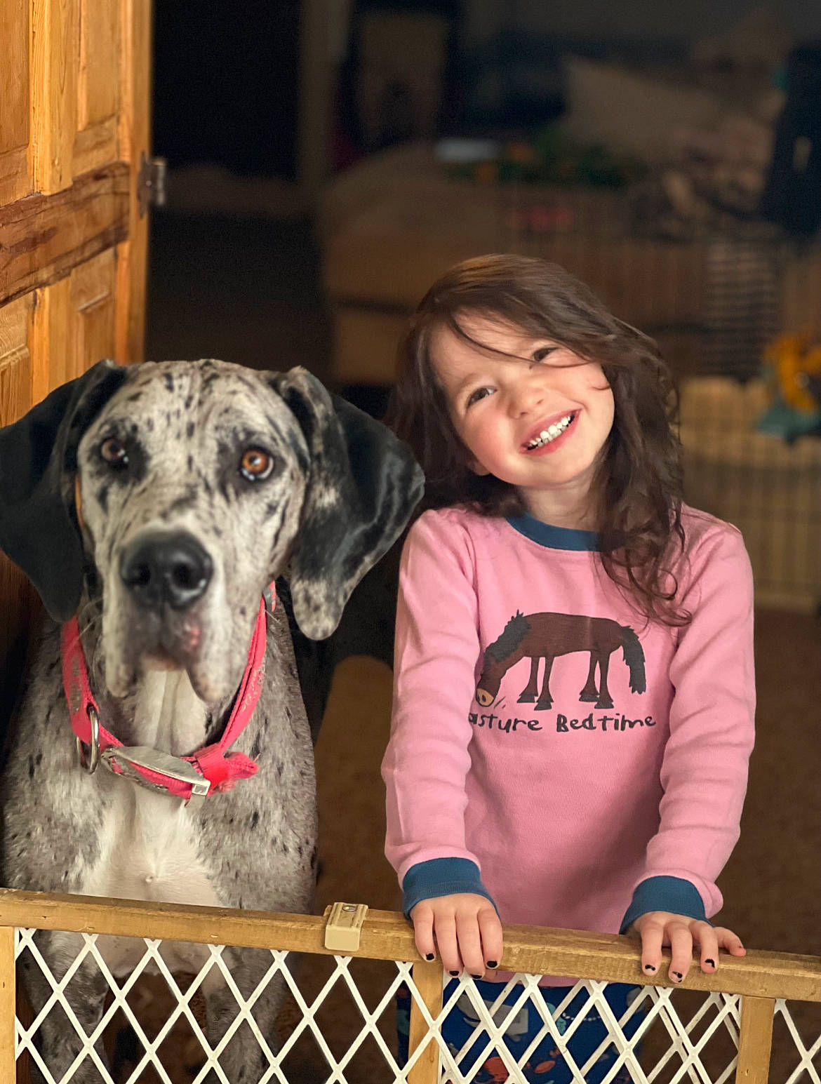 Cheyenne joined the competition — help win amazing prizes! canidae, carnivore, collar, companion_dog, dog, dog_breed, dog_collar, dog_supply, door, event, fawn, fence, guard_dog, happy, joy, person, pet_supply, smile, snout, sporting_group