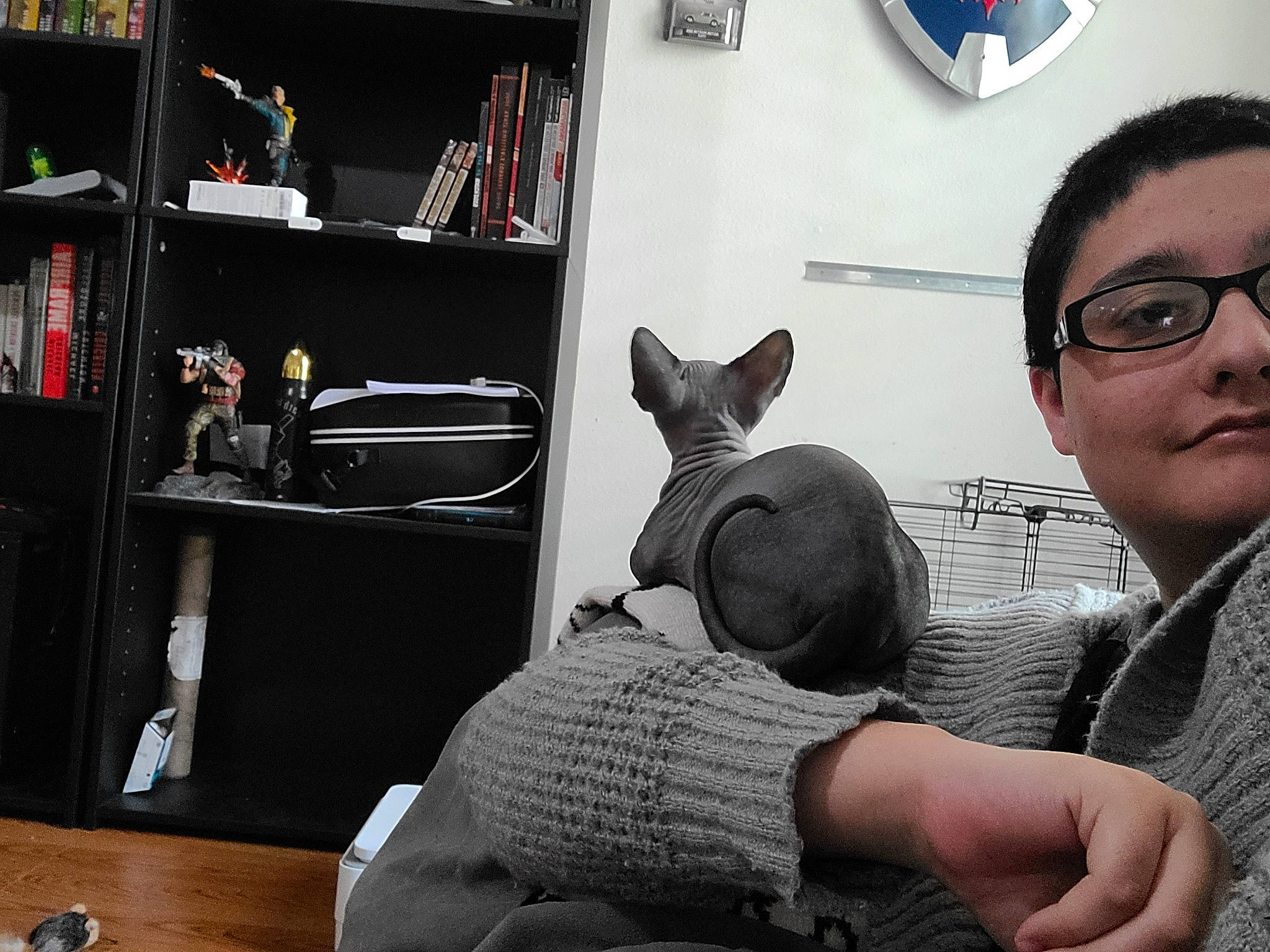 Edgar is registered to the contest to win money with this photo: bookcase, chest_of_drawers, comfort, ear, eyewear, felidae, fun, furniture, gesture, room, shelf, shelving, shirt, sitting, snapshot, t_shirt, table, tableware, toy, whiskers