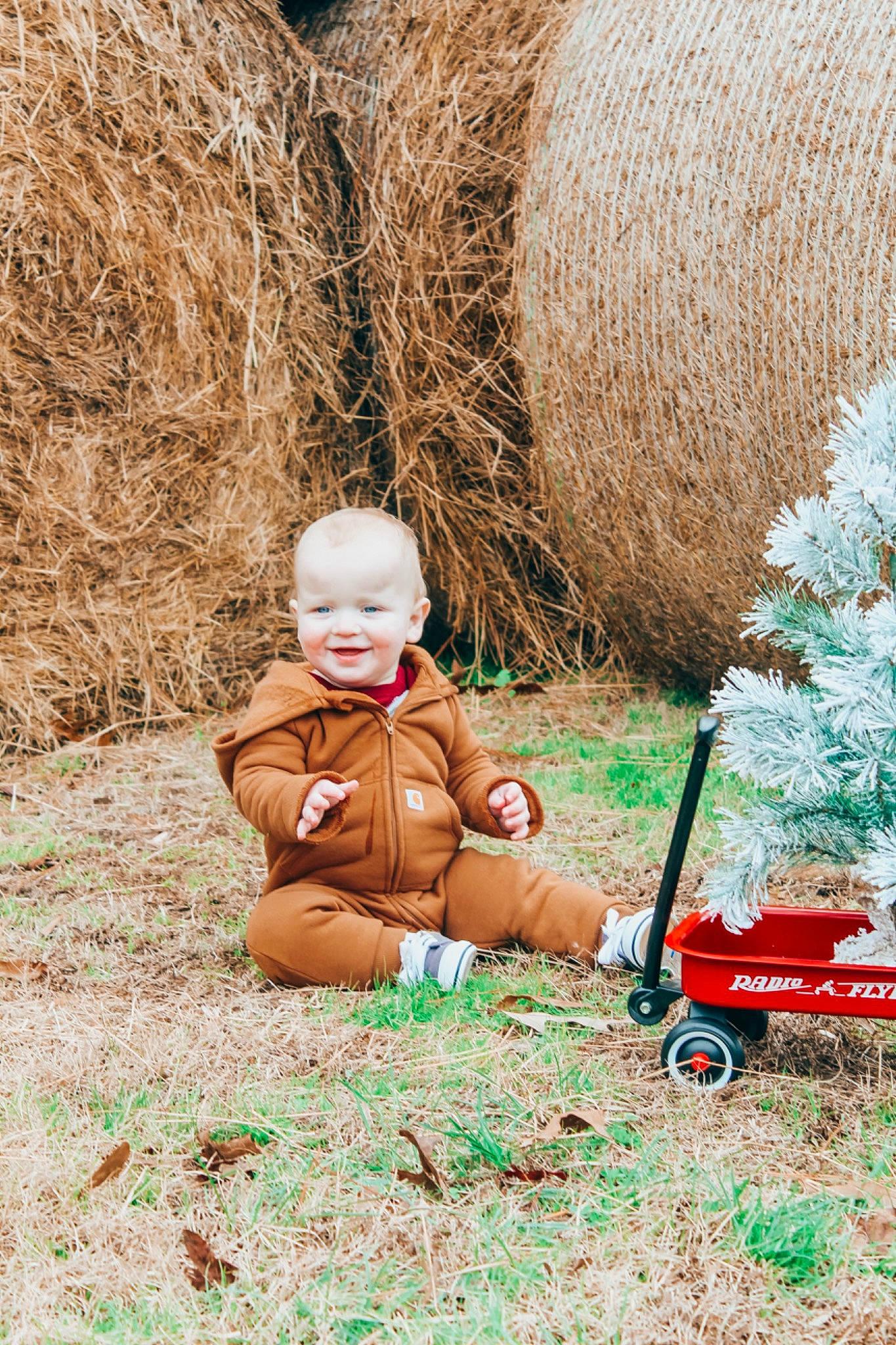 Jaxtyn joined the competition — help win amazing prizes! baby, child, christmas_ornament, fawn, fun, grass, grass_family, happy, joy, lawn, lawn_ornament, leisure, people_in_nature, person, plant, sitting, soil, toddler, toy, tree