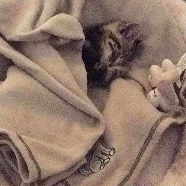 Oscar joined the competition — help win amazing prizes!