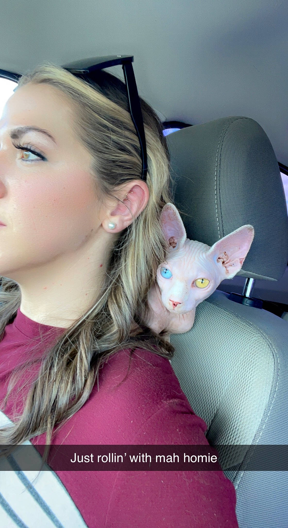 Mo joined the competition — help win amazing prizes! black_hair, cool, couch, ear, eye, eyelash, hairstyle, happy, head, iris, jaw, lip, long_hair, mouth, neck, nose, organ, pink, skin, toy