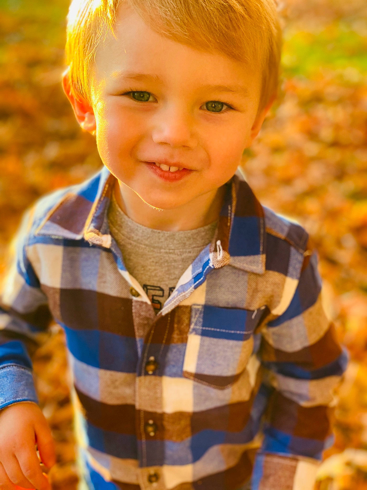 Karsen is registered to the contest to win money with this photo: autumn, blond, child, child_model, face, grass, hair, happy, joy, leaf, male, person, photography, plaid, plant, portrait, portrait_photography, smile, sunlight, toddler