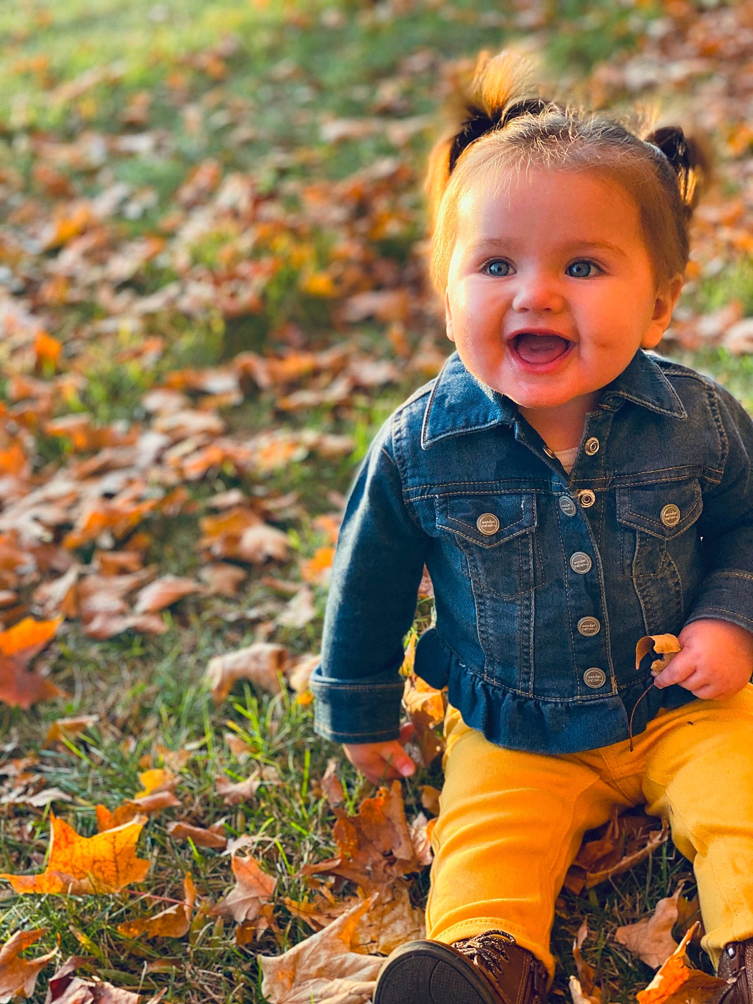 Kira joined the competition — help win amazing prizes! autumn, cheek, child, child_model, denim, grass, happy, jeans, leaf, outerwear, people_in_nature, person, photography, plant, portrait_photography, pumpkin, sitting, smile, toddler, tree