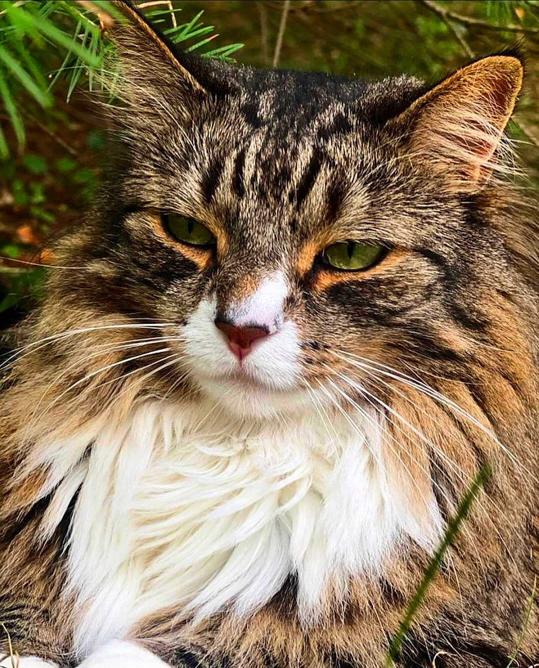 Stormy