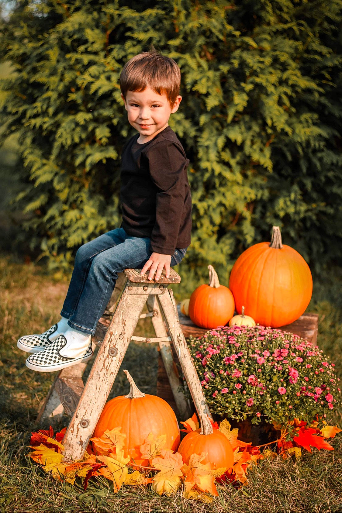 Saylor joined the competition — help win amazing prizes! botany, calabaza, cucurbita, gourd, grass, happy, jeans, joy, leaf, leisure, natural_foods, orange, people, people_in_nature, person, plant, pumpkin, smile, squash, vegetable