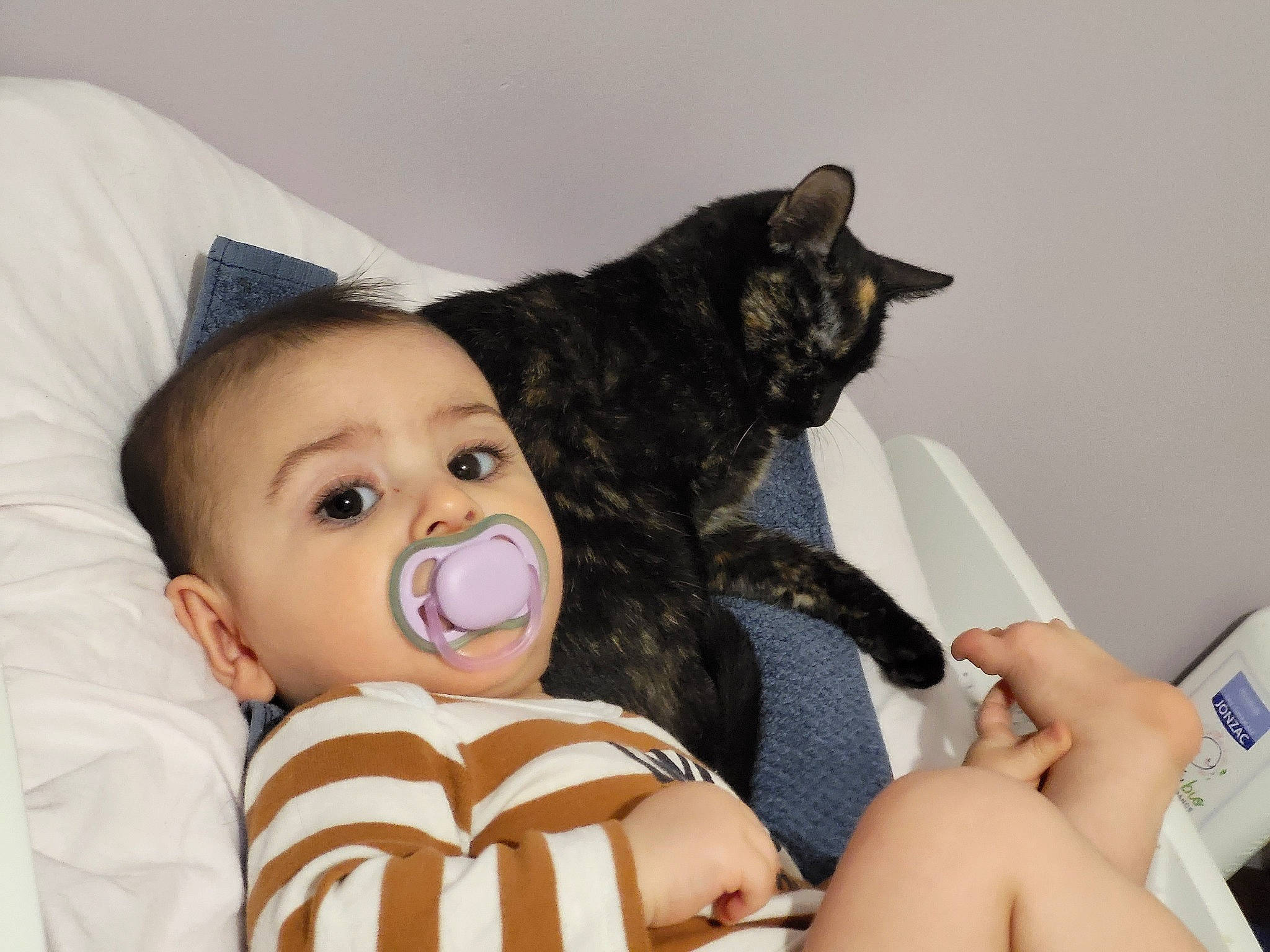 Astrid a rejoint le concours — aidez-le/la à gagner de superbes lots ! baby, baby_toddler_clothing, carnivore, cat, cheek, child, comfort, eye, felidae, finger, happy, linens, person, pillow, sitting, skin, small_to_medium_sized_cats, stuffed_toy, thigh, toddler