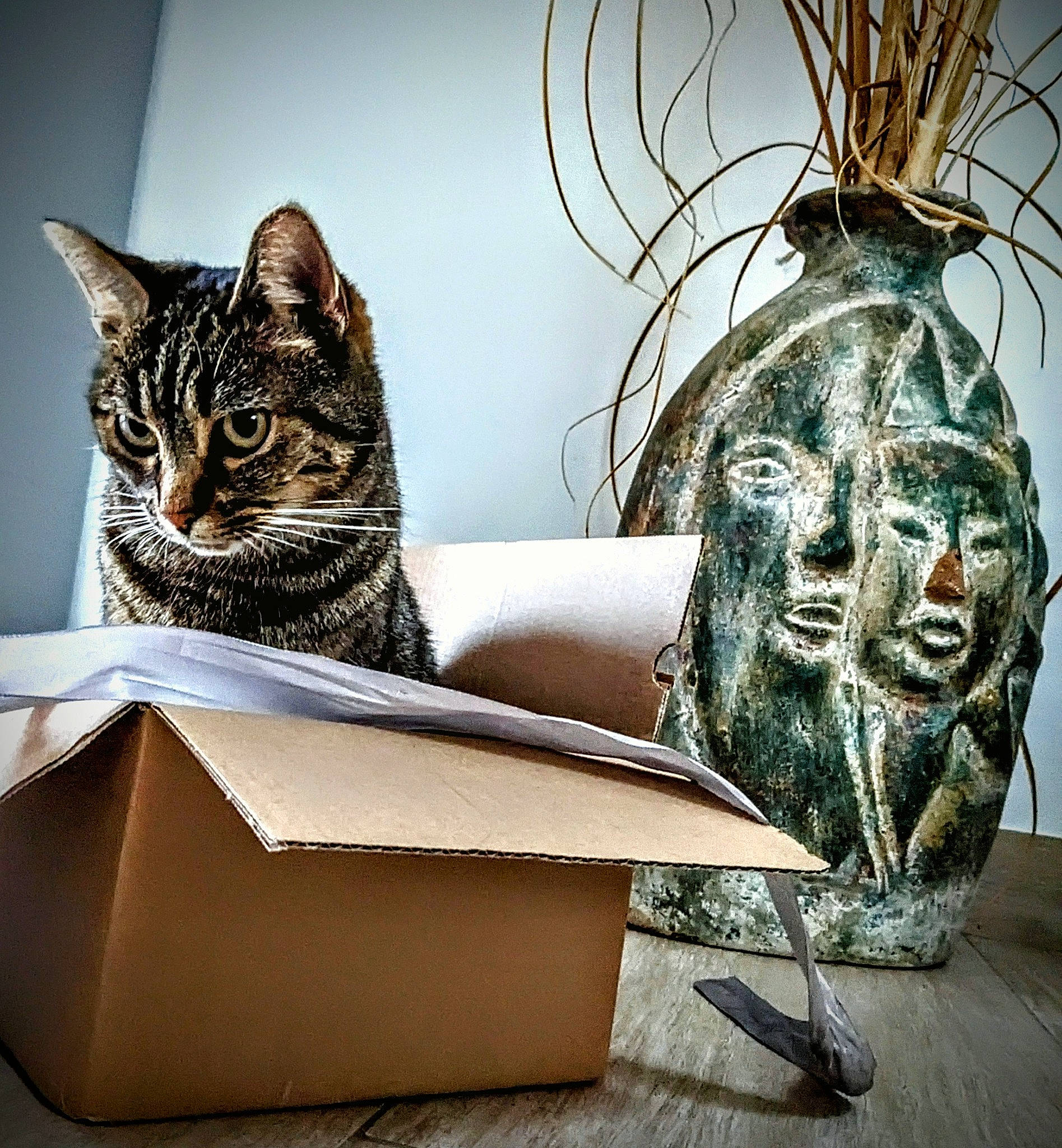 Pépette participe au concours pour gagner de l'argent avec cette photo : art, beauty, box, carnivore, carton, cat, domestic_short_haired_cat, felidae, mammal, metal, packaging_and_labeling, rectangle, room, sculpture, shipping_box, small_to_medium_sized_cats, vertebrate, whiskers, window, wood
