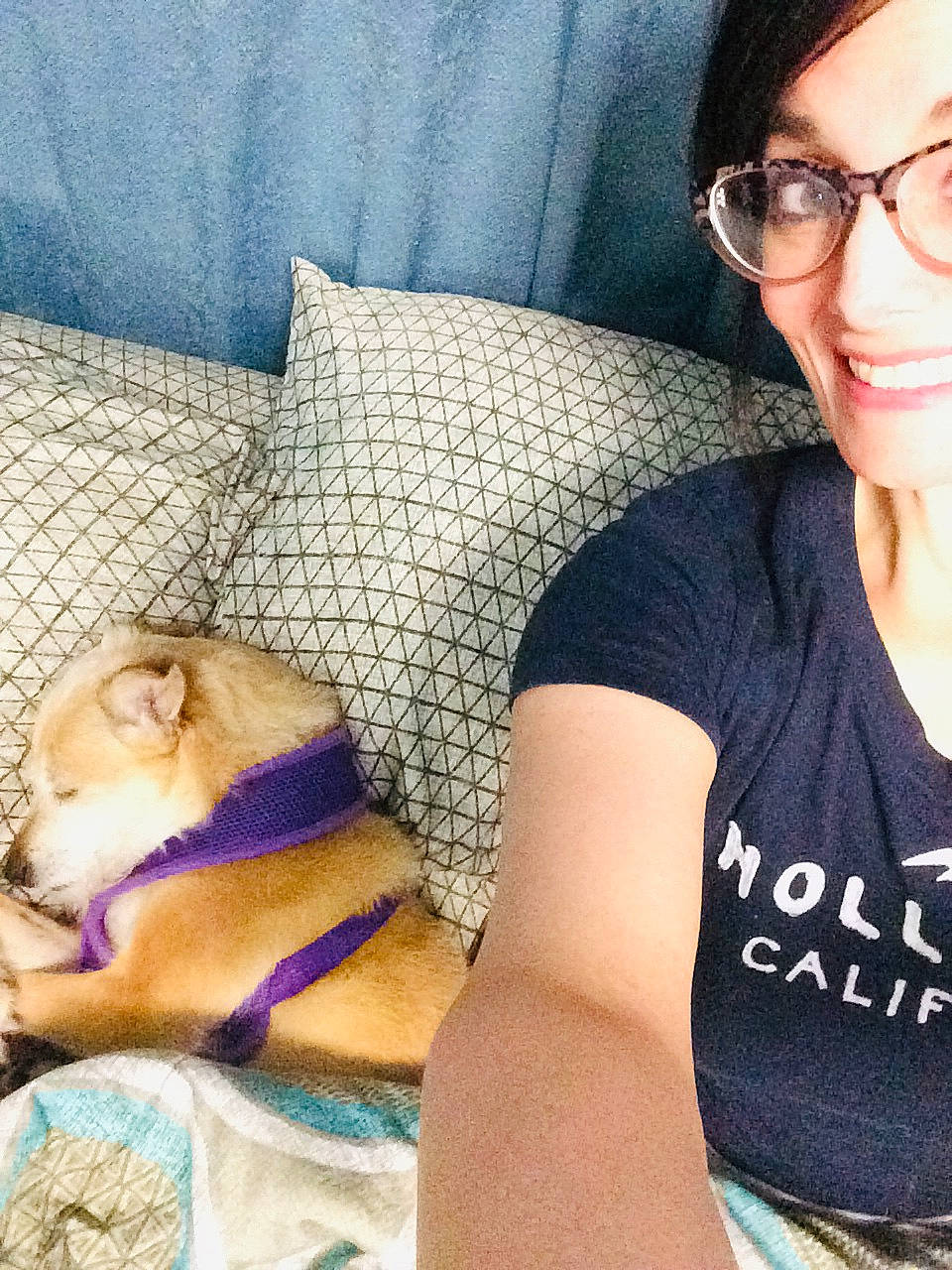 Haley joined the competition — help win amazing prizes! canidae, carnivore, cat, child, companion_dog, cool, dog, eyewear, fawn, friendship, glasses, happy, love, nap, nose, photography, puppy, puppy_love, selfie, smile