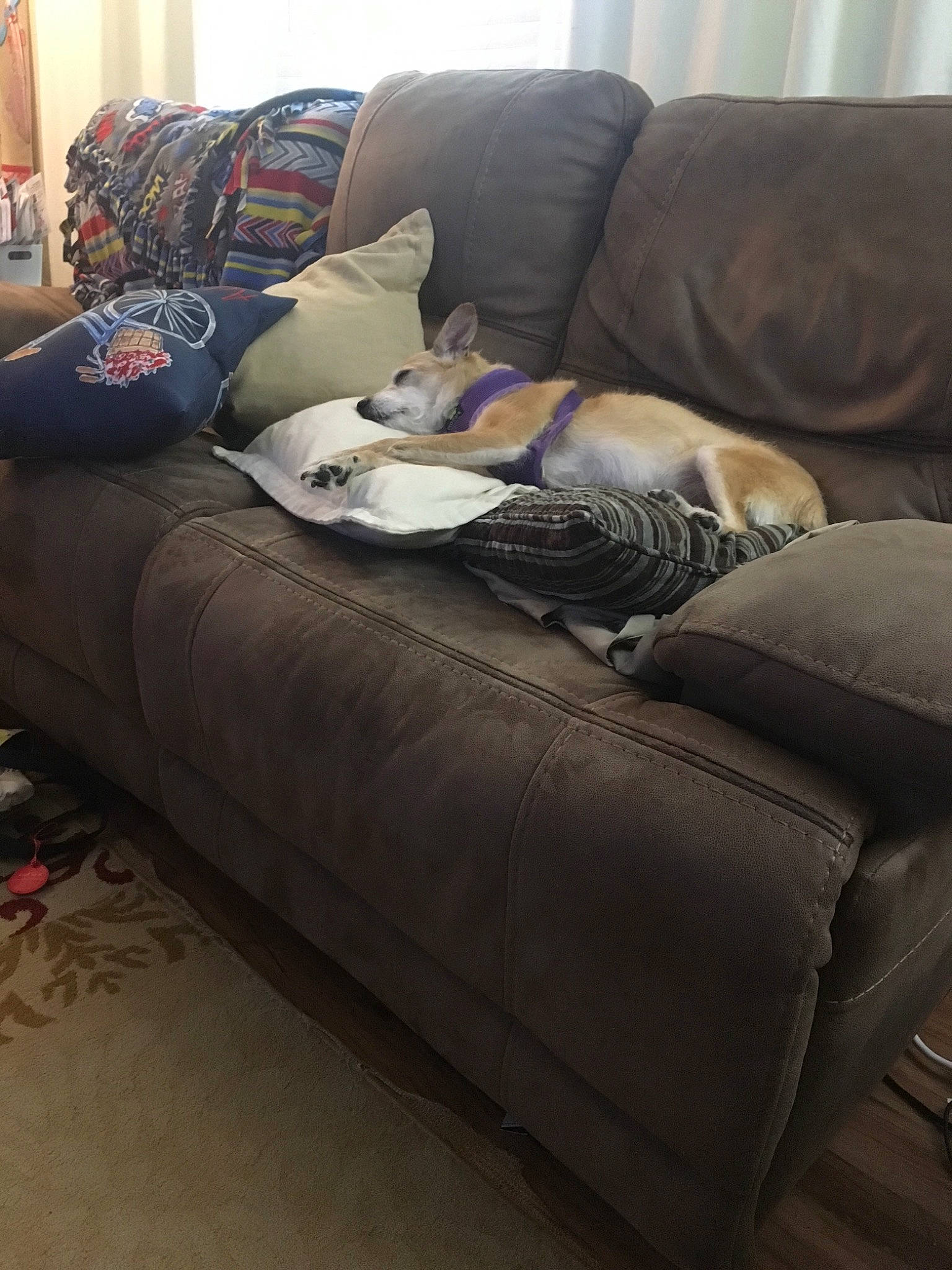 Haley is registered to the contest to win money with this photo: bed, chair, comfort, couch, floor, flooring, furniture, interior_design, laminate_flooring, leather, living_room, loveseat, recliner, room, sofa_bed, studio_couch