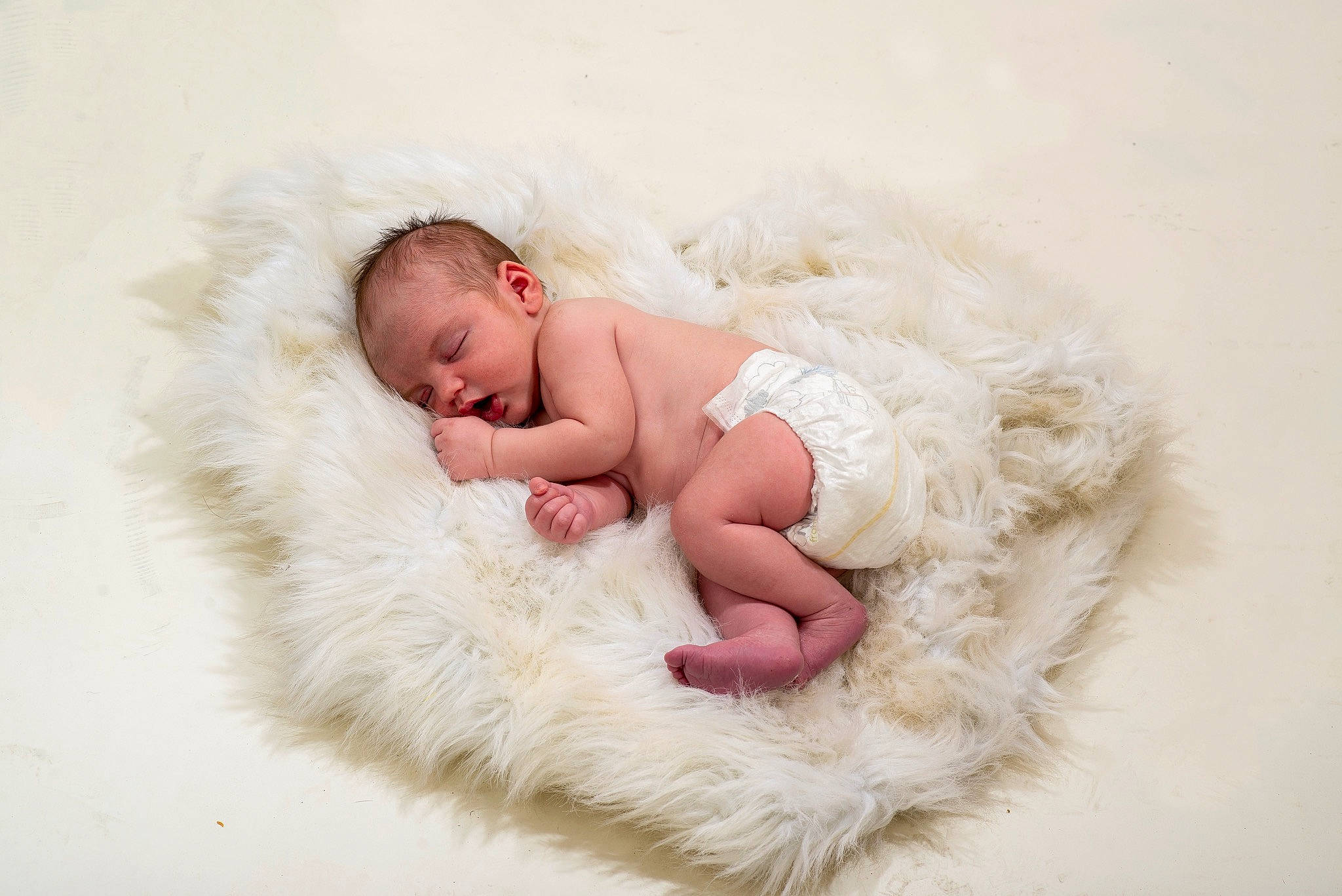 Bryer joined the competition — help win amazing prizes! baby, baby_sleeping, child, comfort, fur, fur_clothing, person, photography, skin, sleep, textile, toddler