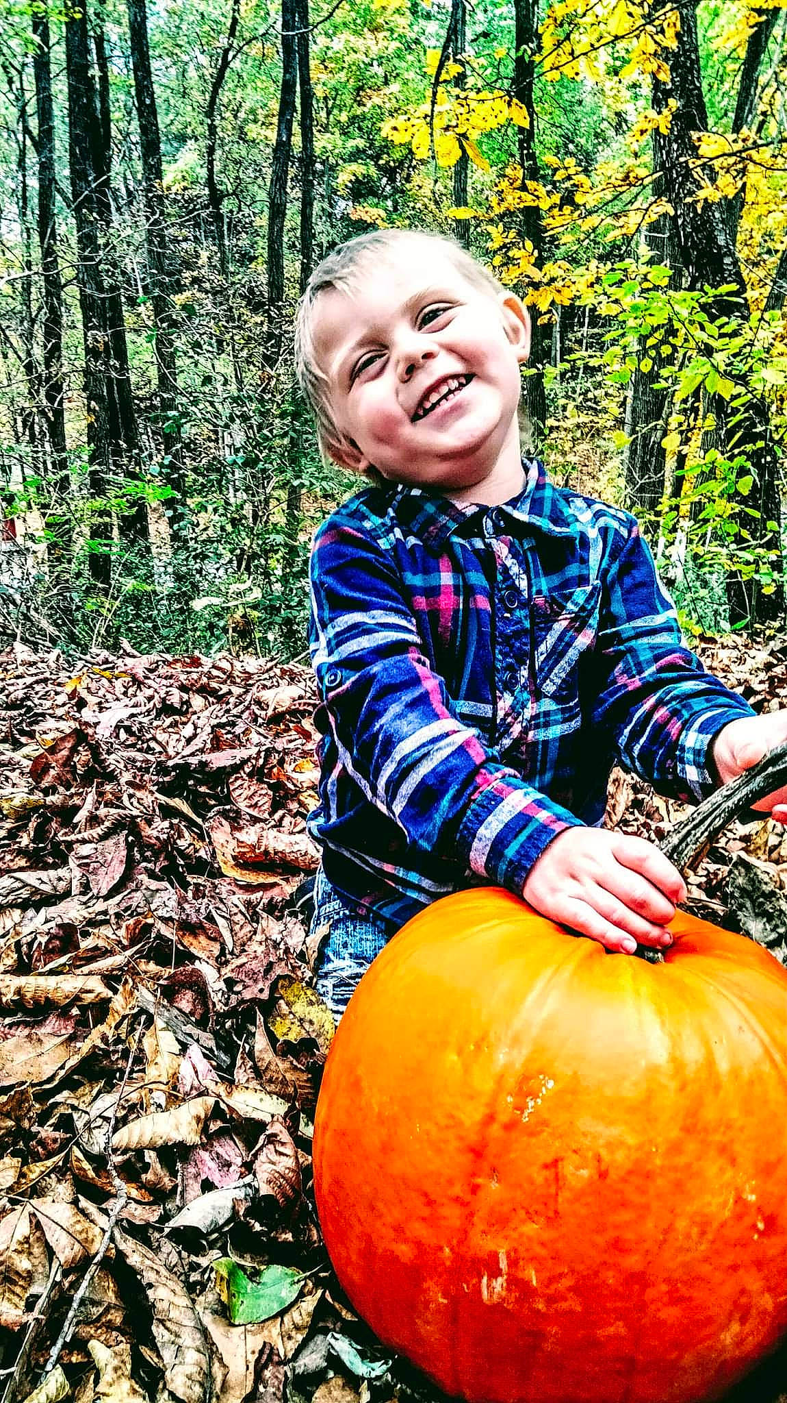 Gavin is registered to the contest to win money with this photo: art, calabaza, child, cucurbita, deciduous, gourd, grass, happy, joy, leaf, natural_foods, people_in_nature, person, plant, pumpkin, smile, squash, toddler, tree, vegetable