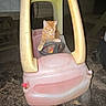 cat, orange_tabby, toy_car, steering_wheel, outdoor, night, playful, pet, animal, small_car, plastic, ground, dirt, funny, cute, vehicle, childs_toy, wheel, backyard, lonely