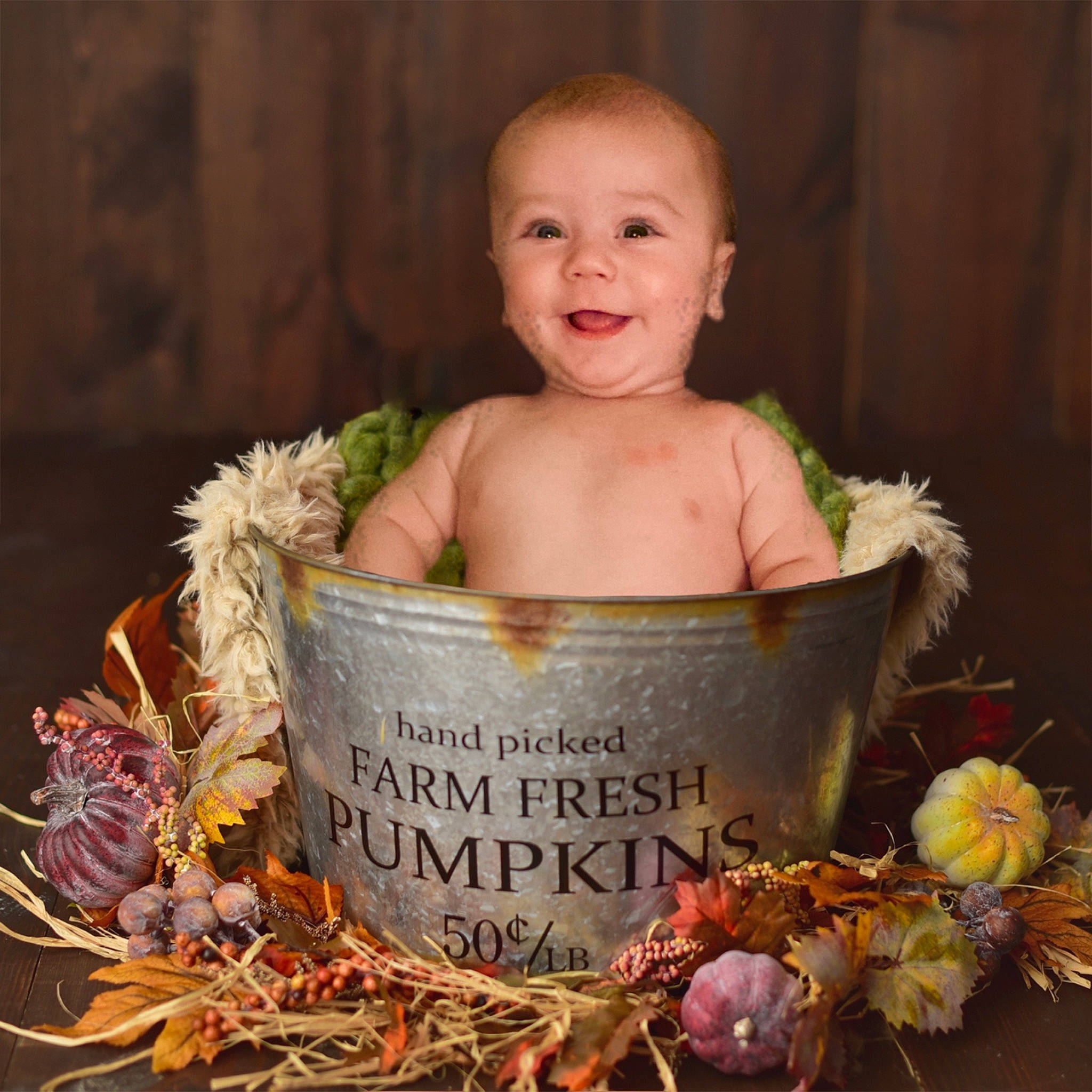 Joey is registered to the contest to win money with this photo: baby, basket, child, joy, person, plant, toddler
