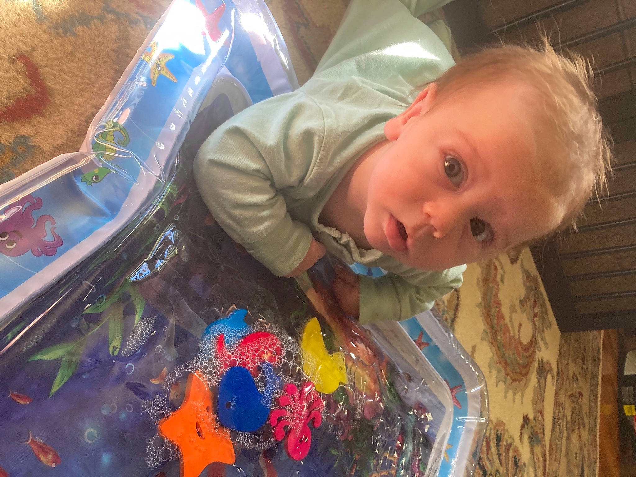 Joey joined the competition — help win amazing prizes! baby, child, fun, nose, person, play, smile, toddler