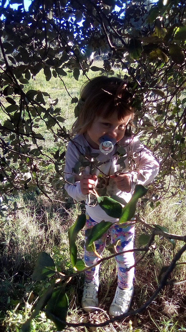 Ema a rejoint le concours — aidez-le/la à gagner de superbes lots ! botany, branch, child, fawn, flower, forest, jungle, leaf, person, plant, spring, tree, violet_family, wildflower