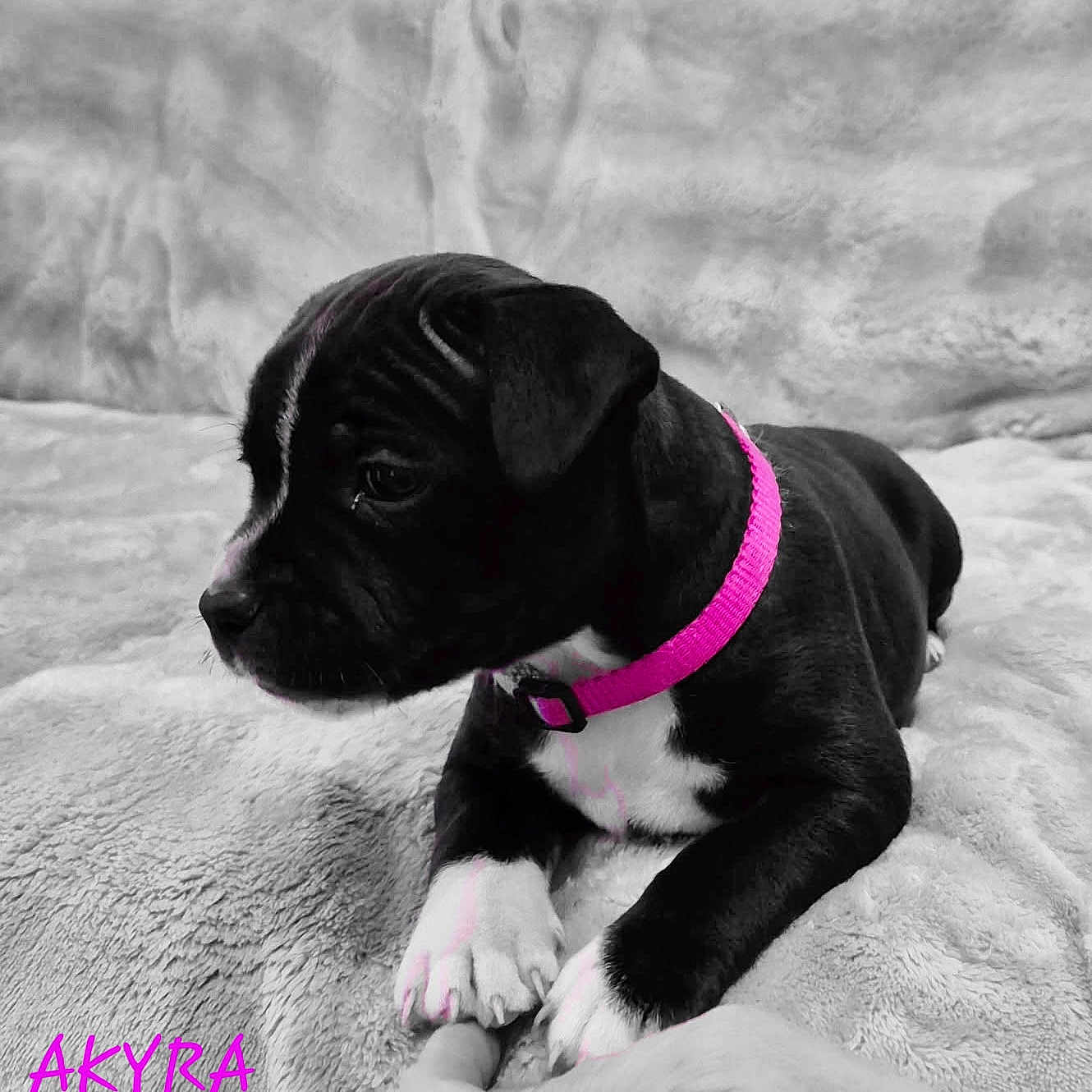Akyra