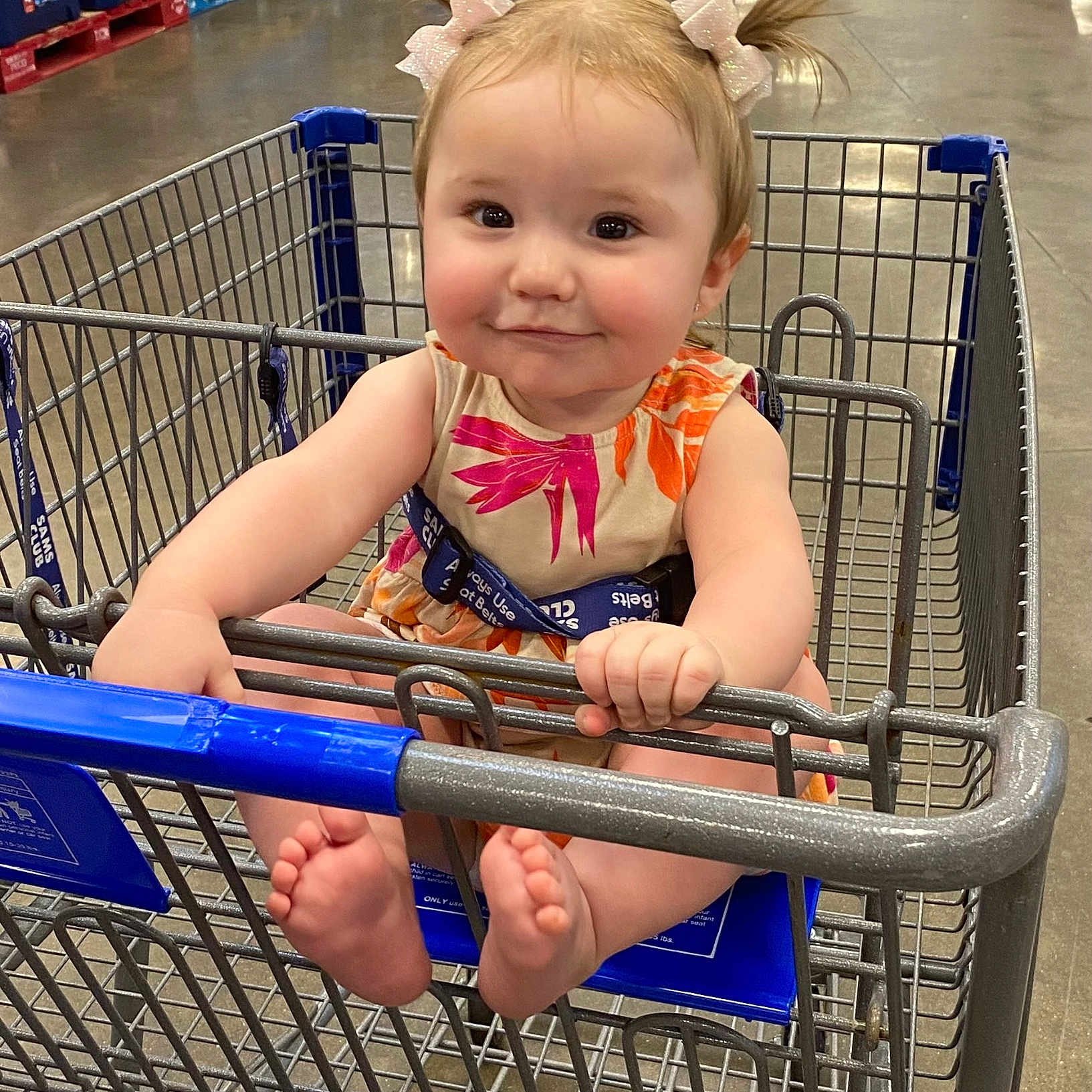 Rian-Lane is registered to the contest to win money with this photo: baby, babylaughing, basket, face, happy, head, person, photography, portrait, pushing, racket, shopping, shoppingbasket, shoppingcart, smile, sport, tennis, tennisracket