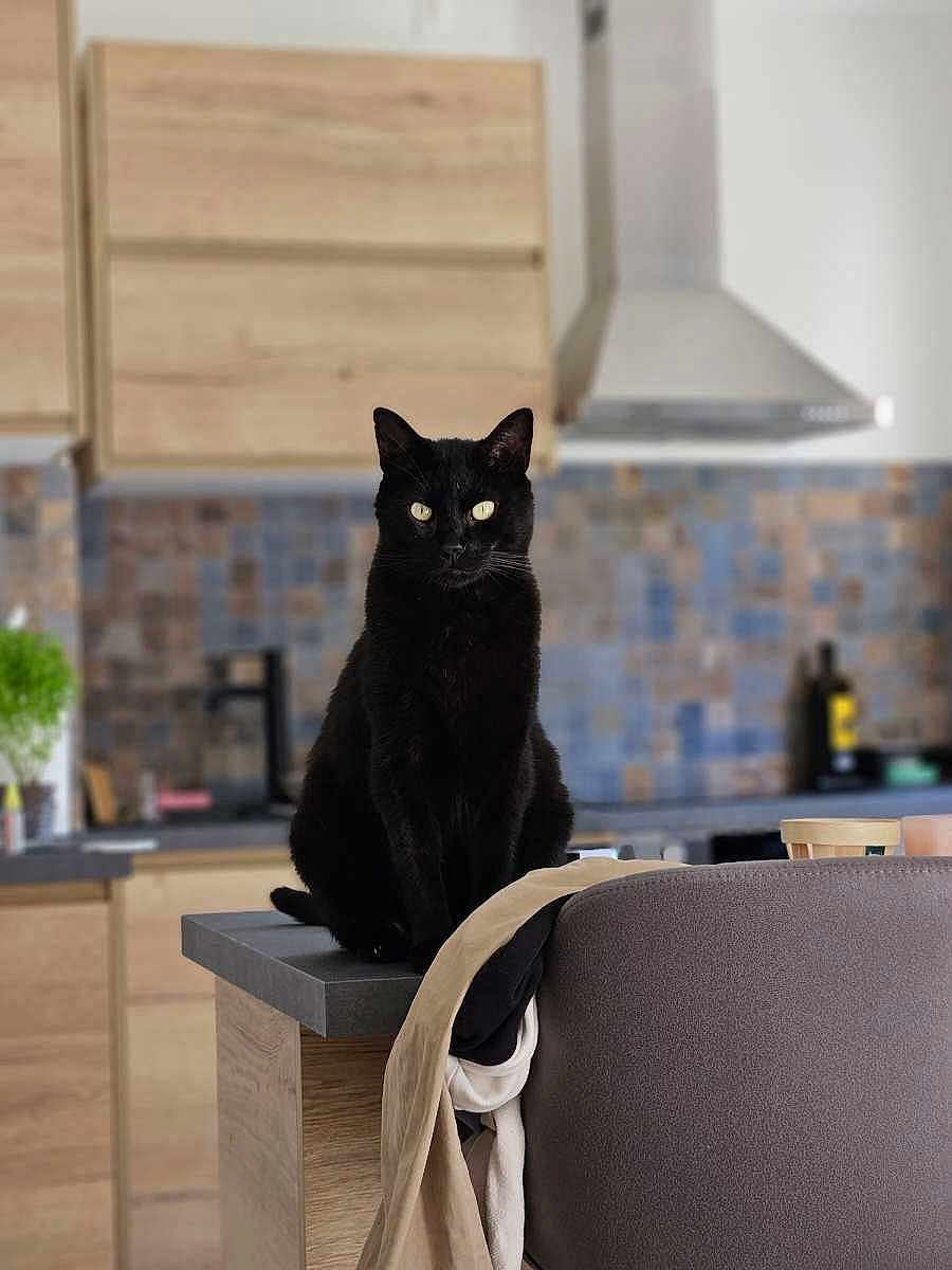 Marco