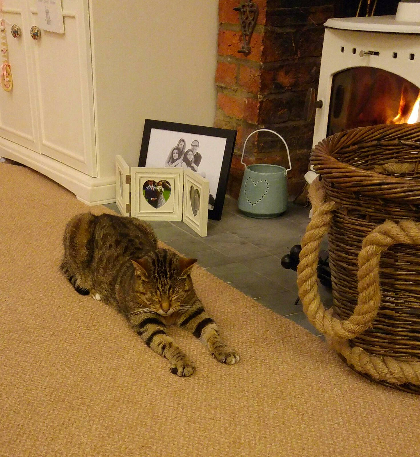 Bernie joined the competition — help win amazing prizes!