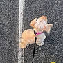 dog, small_dog, leash, pink_collar, asphalt, road, white_line, yellow_crocs, footwear, jeans, ripped_jeans, walking, pet, outdoor, pavement, casual, person, top_view, fluffy_dog, leisure