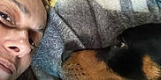 Dallas is registered to the contest to win money with this photo: animal, blanket, bond, closeup, comfort, companion, cozy, dog, eyebrow, face, fur, glasses, head, indoor, looking, nose, person, pet, resting, warm