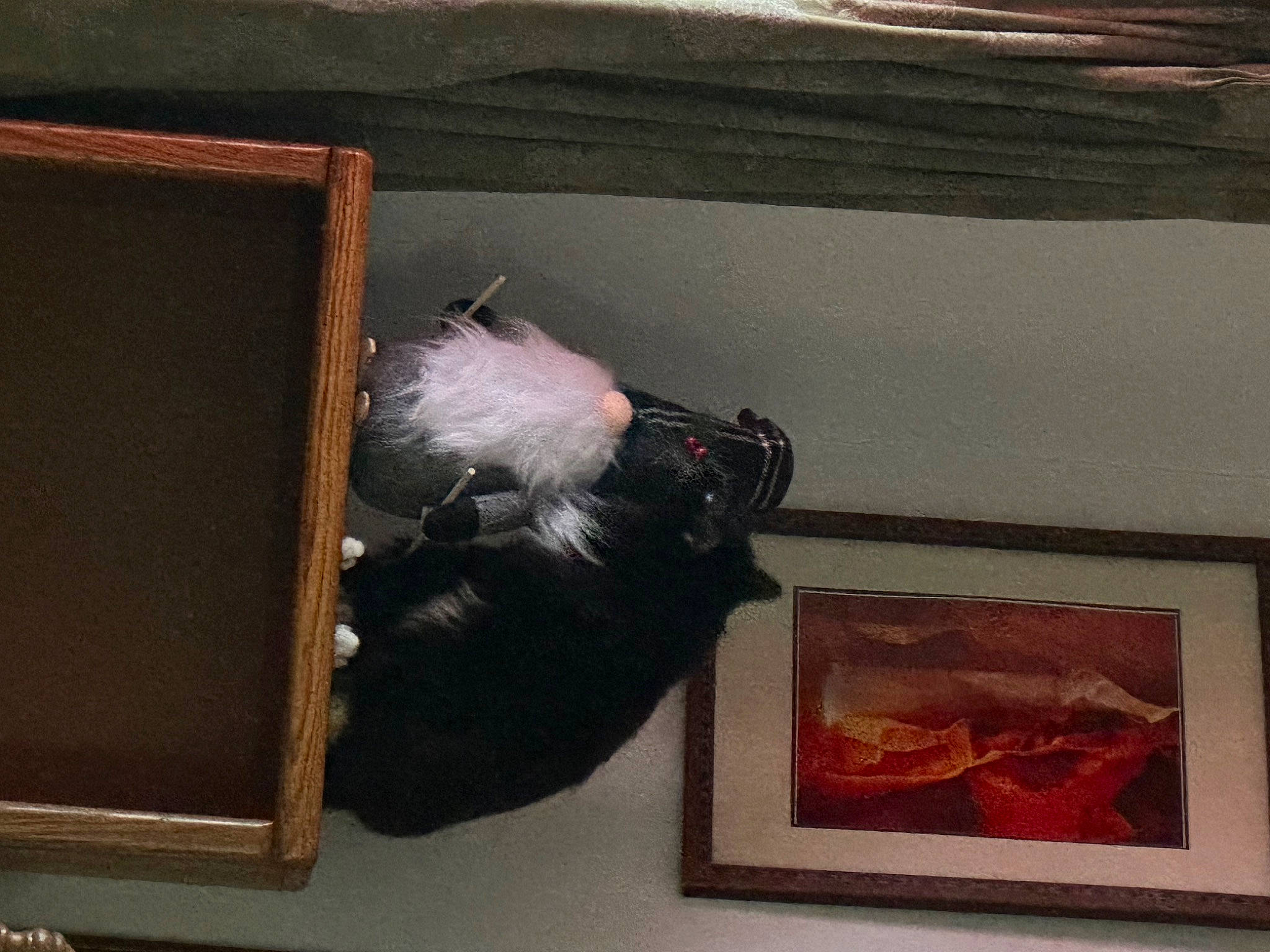 Benjamin Franklin Buttons joined the competition — help win amazing prizes! art, bookcase, carmine, carnivore, companion_dog, dog_breed, felidae, fur, hardwood, paint, picture_frame, rectangle, room, shelf, small_to_medium_sized_cats, sporting_group, tail, tints_and_shades, visual_arts, wood