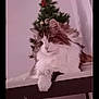 animal, cat, christmas_tree, cozy, cute, decorations, domestic, festive, fluffy_cat, furniture, holiday, holiday_decor, indoor, ornaments, pet, pine_tree, relaxed, resting, table, white_wall