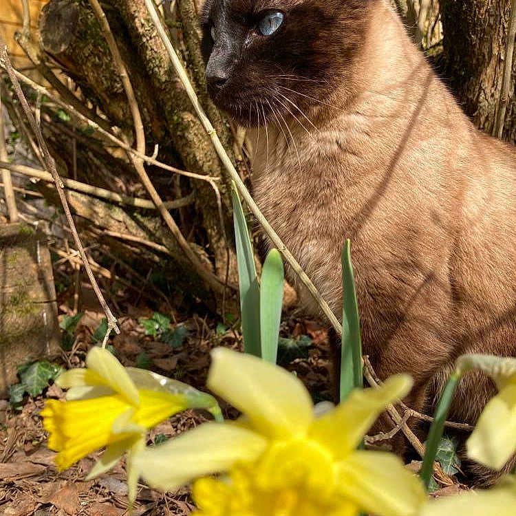 Michel