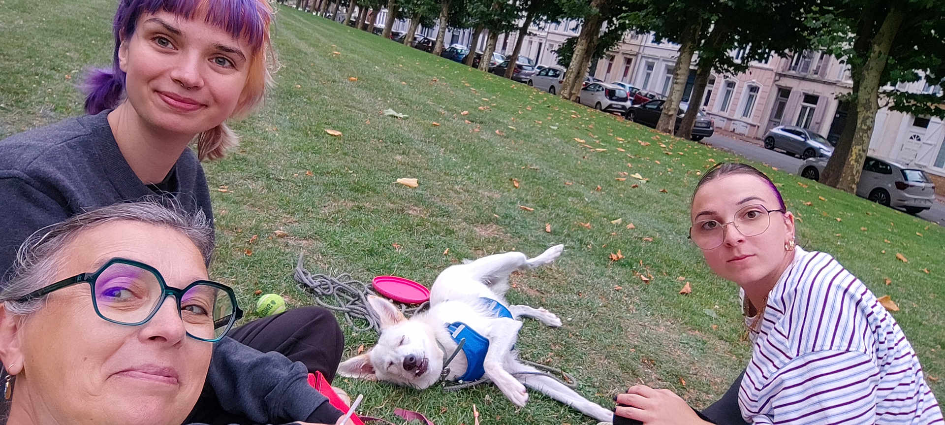 Arlo a rejoint le concours — aidez-le/la à gagner de superbes lots ! people, dog, grass, outdoor, trees, park, happy, smiling, glasses, leisure, casual, friendship, relaxation, pet, playing, daytime, nature, urban, street, animals