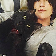 Chevy Chevrolet is registered to the contest to win money with this photo: animal, black_cat, casual_clothing, cat, close_up, companion, cozy, face, feline, home, human, indoor, looking_at_camera, pet, portrait, relaxed, snuggling, striped_pillow, woman, yellow_eyes