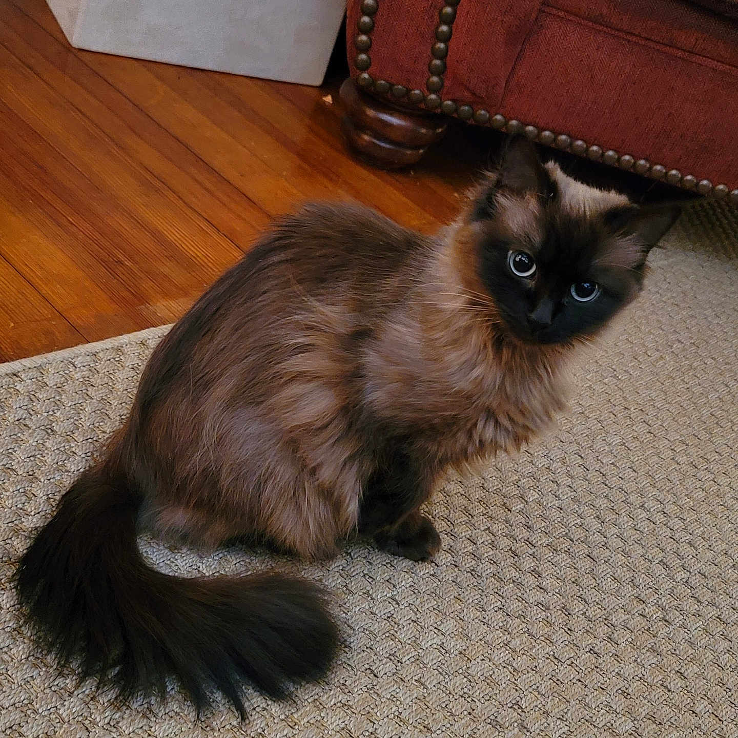 Coco