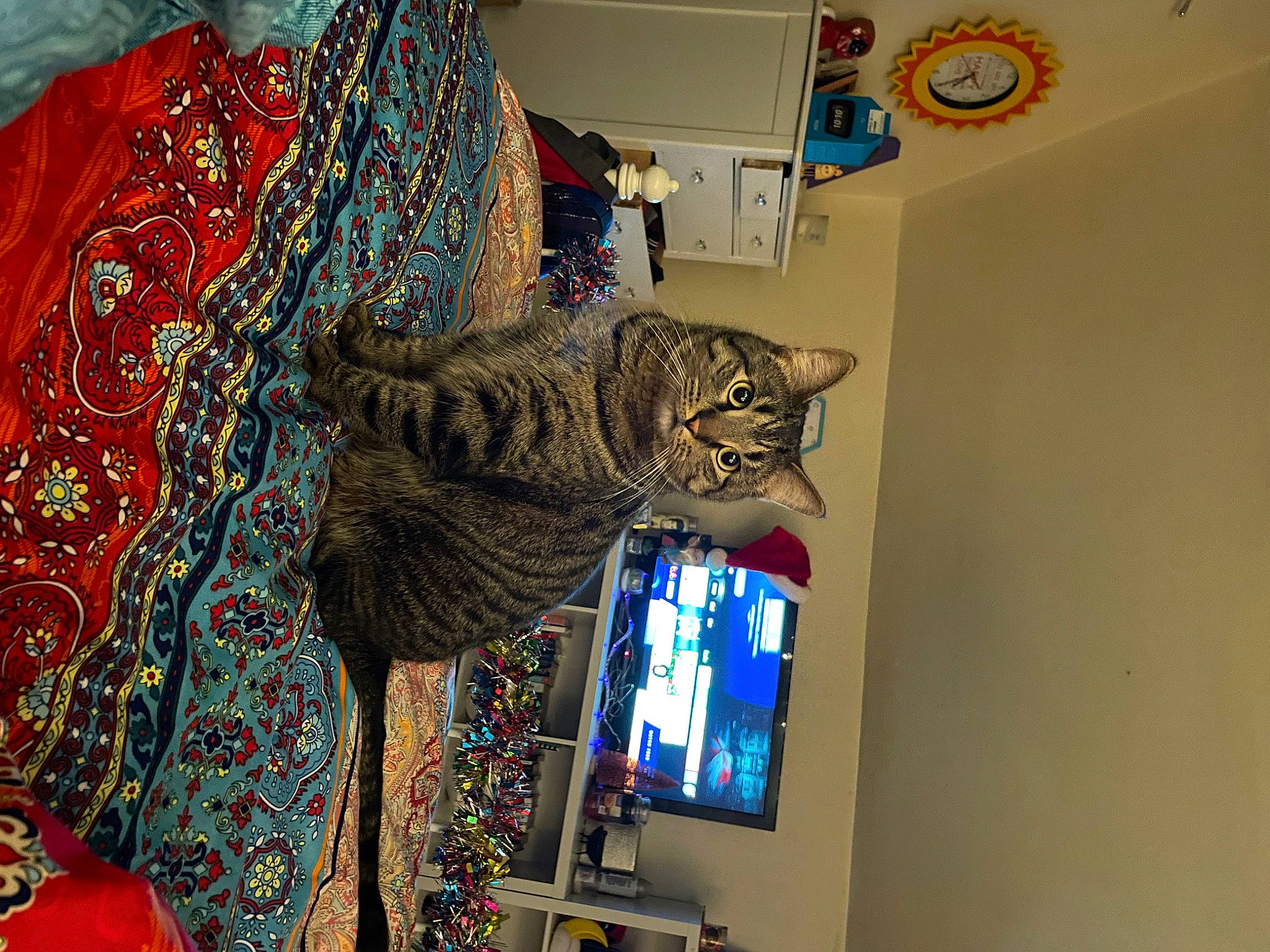 Hobbes is registered to the contest to win money with this photo: art, carnivore, cat, display_device, domestic_short_haired_cat, door, electric_blue, felidae, fur, led_backlit_lcd_display, machine, pattern, room, shelf, small_to_medium_sized_cats, television_set, visual_arts, whiskers, woolen, woven_fabric