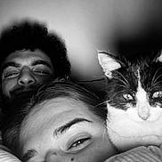 Bounty participe au concours pour gagner de l'argent avec cette photo : black_and_white, cat, person, face, closeup, portrait, smiling, curly_hair, blanket, indoor, cozy, whiskers, animal, human, resting, eyebrows, fur, cute, nose, intimate