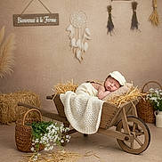 Raphaël participe au concours pour gagner de l'argent avec cette photo : baby, newborn, sleeping, wheelbarrow, straw, blanket, hat, basket, flowers, dreamcatcher, rustic, wooden, decor, cozy, indoor, countryside, child, peaceful, soft, portrait