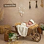 baby, newborn, sleeping, wheelbarrow, straw, blanket, hat, basket, flowers, dreamcatcher, rustic, wooden, decor, cozy, indoor, countryside, child, peaceful, soft, portrait