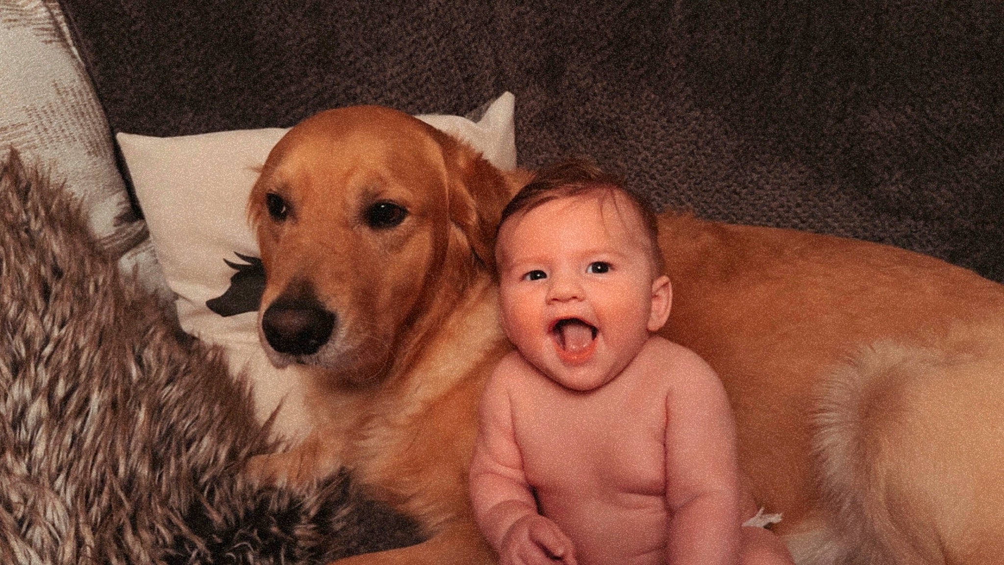 Jett is registered to the contest to win money with this photo: abdomen, baby, carnivore, chest, child, companion_dog, dog, dog_breed, ear, eye, fawn, fun, fur, happy, nose, person, smile, trunk, vertebrate, whiskers