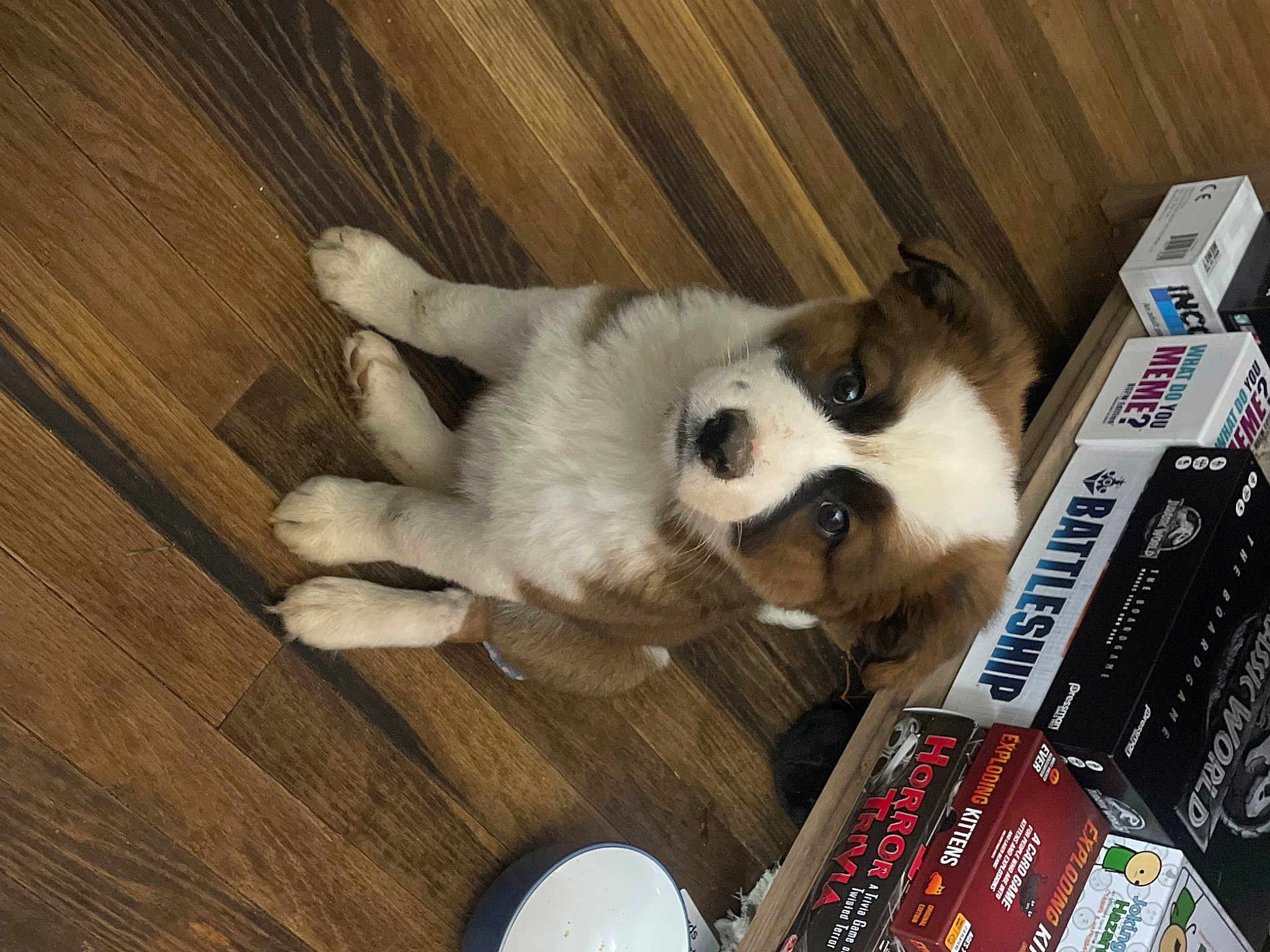 Luna Grace