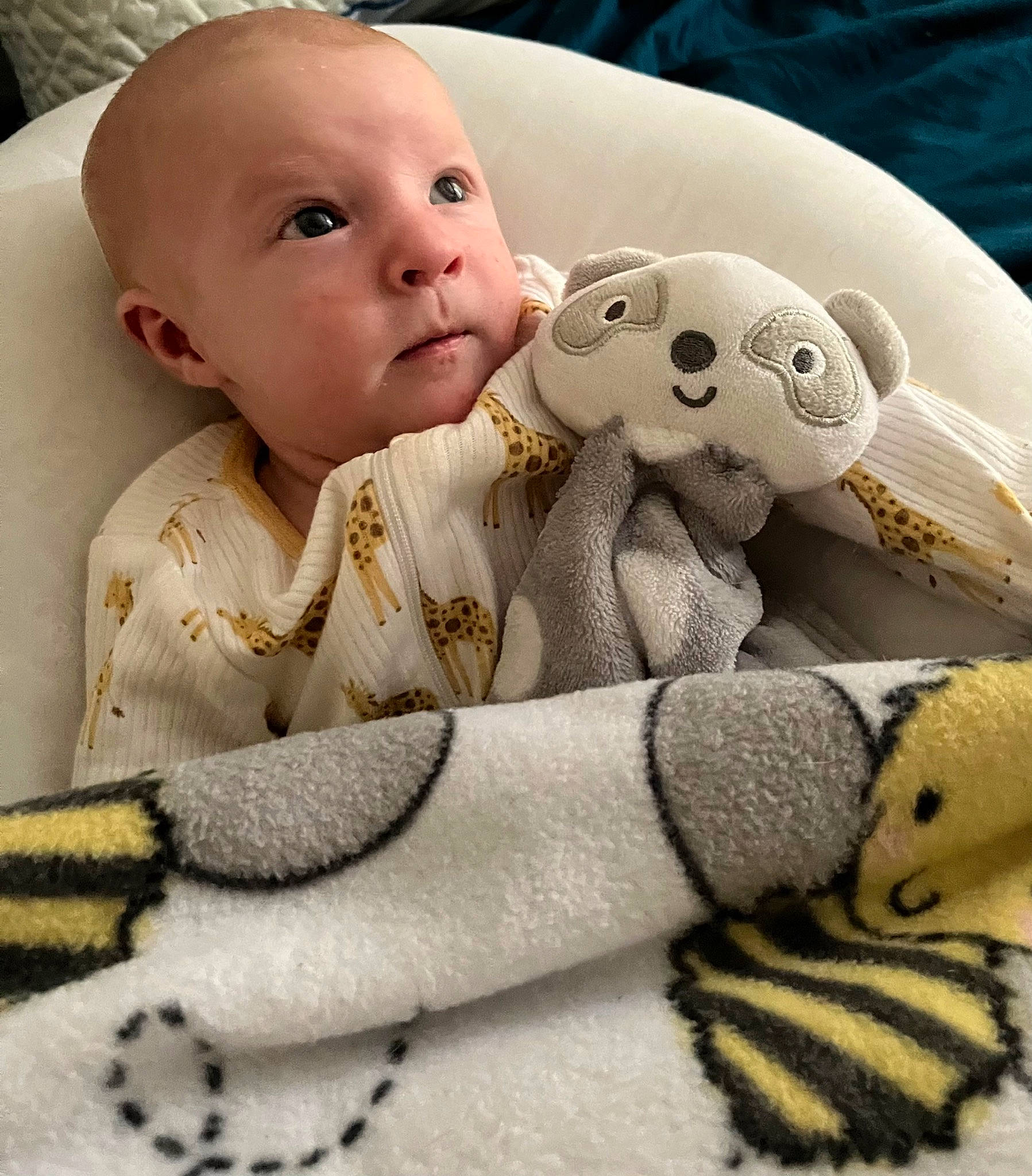 Brice joined the competition — help win amazing prizes! baby, baby_products, baby_sleeping, baby_toddler_clothing, baby_toys, bedding, carmine, child, comfort, fur, headgear, linens, nose, person, plush, product, skin, stuffed_toy, toddler, toy