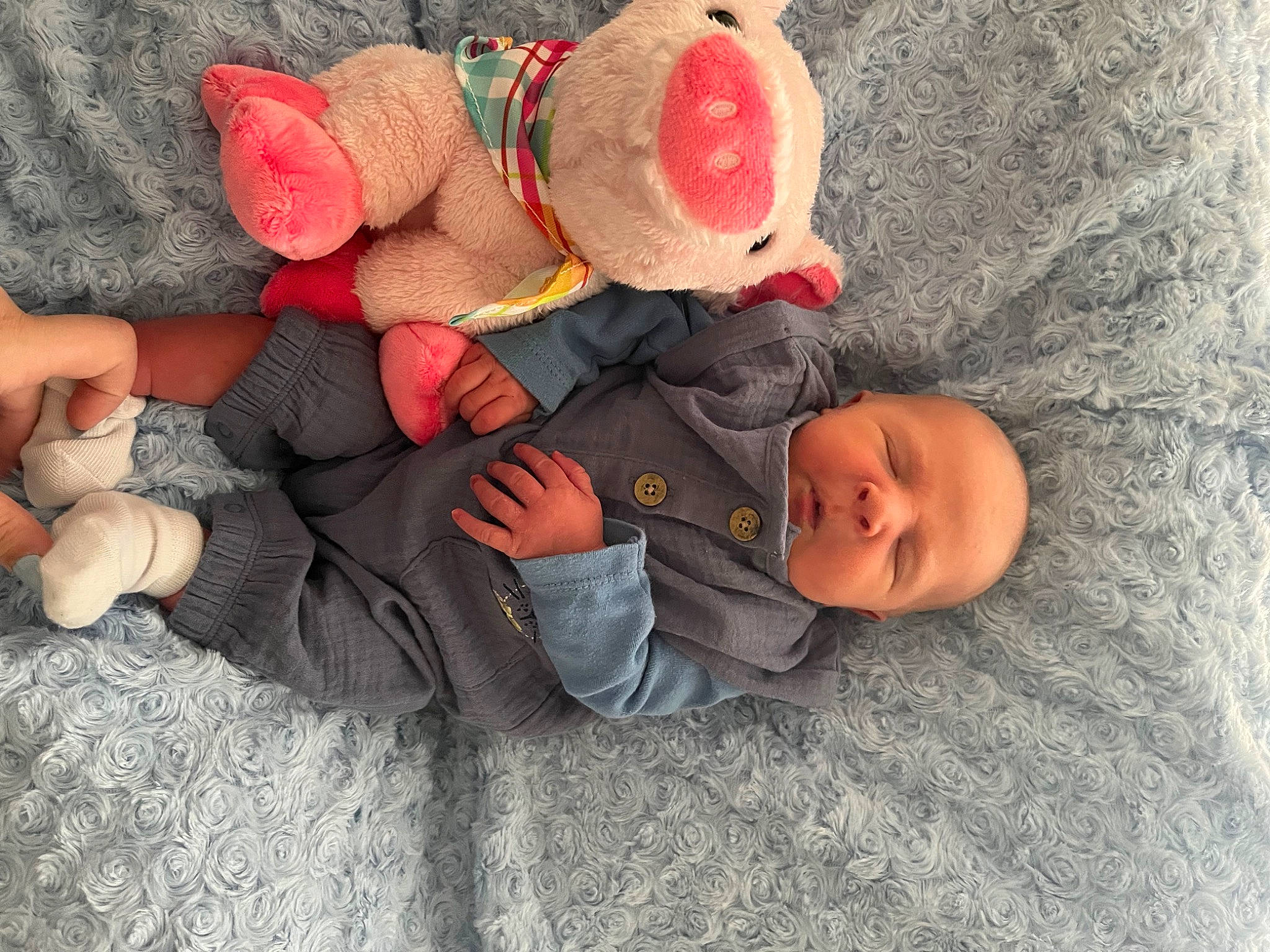 Brice is registered to the contest to win money with this photo: baby, baby_products, baby_sleeping, baby_toddler_clothing, bedtime, carmine, child, comfort, lap, leg, linens, person, plant, sitting, stuffed_toy, teddy_bear, textile, thigh, toddler, toy