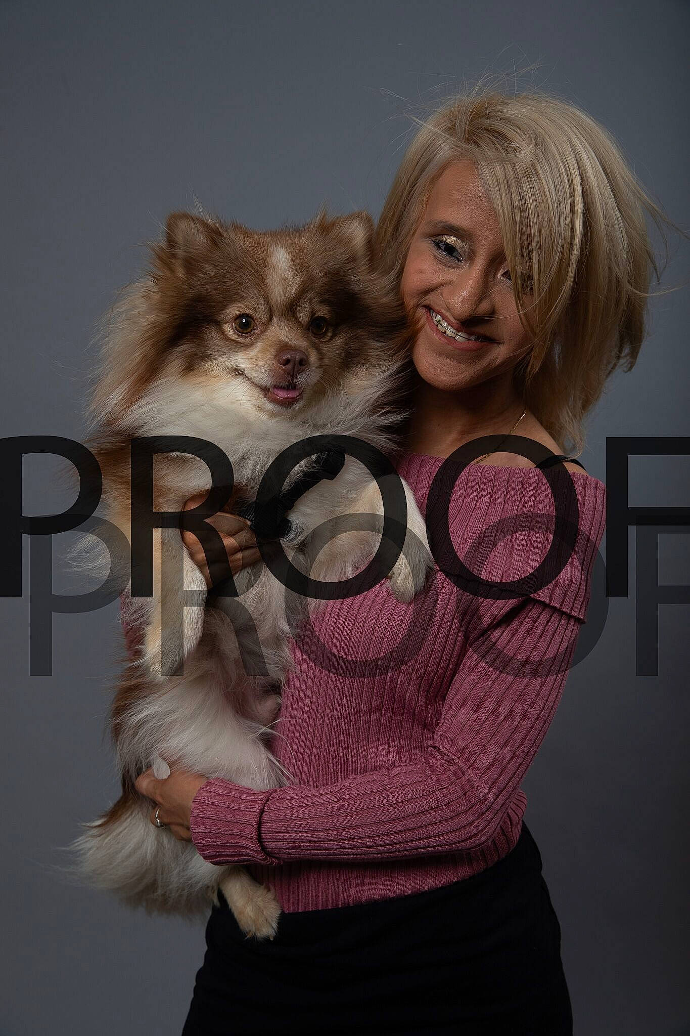 Oso joined the competition — help win amazing prizes! blond, canidae, carnivore, dog, dog_breed, fur, gesture, hug, pomeranian, puppy