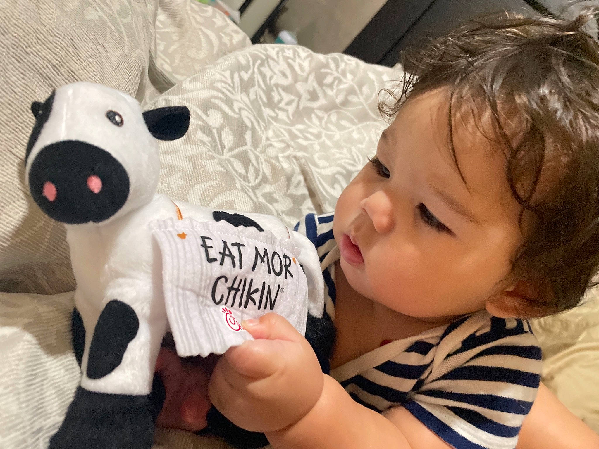 Skylar is registered to the contest to win money with this photo: baby, baby_toddler_clothing, child, couch, ear, eyelash, face, facial_expression, finger, fun, happy, head, nose, organ, person, skin, t_shirt, teddy_bear, toddler, toy